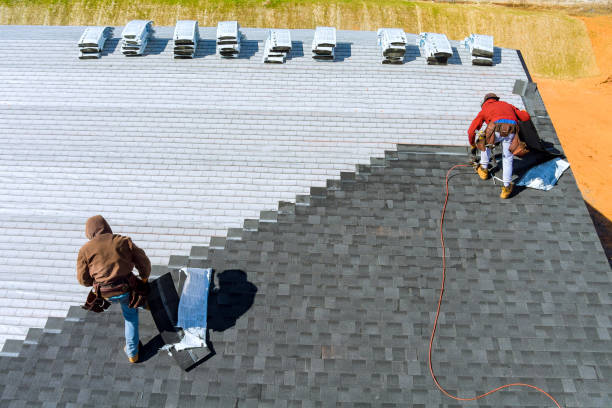 Best Flat Roof Repair Services  in Roosevelt, NJ