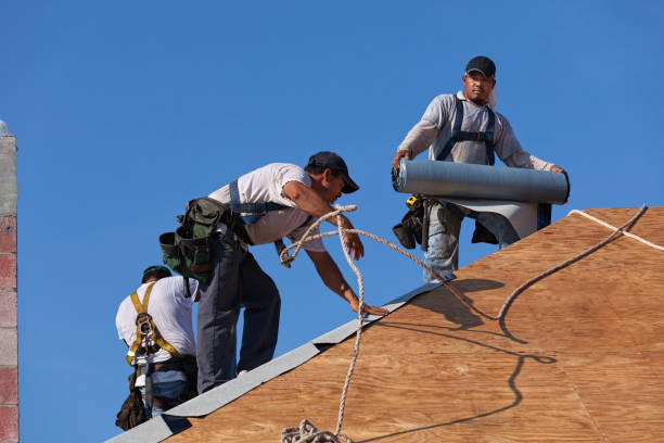 Best Best Roofing Contractors  in Roosevelt, NJ
